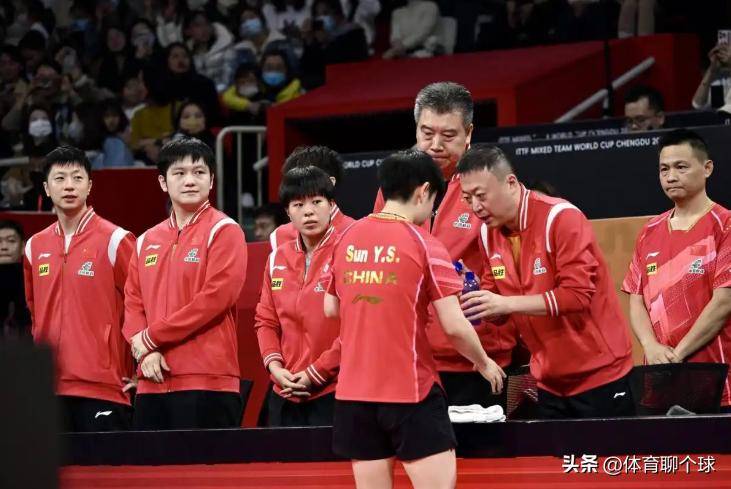 樊振东官宣加盟德甲联赛，不得不说的三个问题，陈梦会咋选呢？